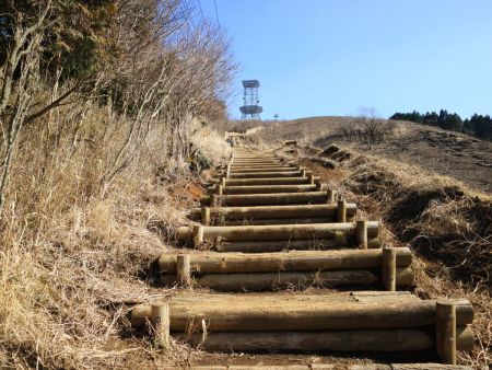 この階段は段差があって登りにくい。階段の端に踏み跡があることから、この段差なので階段を無視して登っている人もいるんだろう