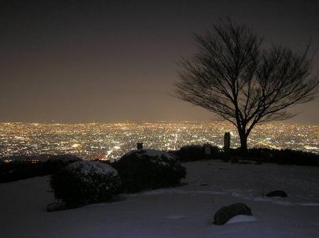 シルエットとなる木と積雪とバックの夜景。この木が樹氷だったらさらに最高だったかも