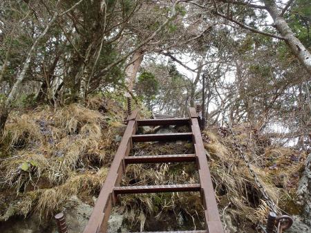 日本岳のコルへ戻り梯子が続く道になる