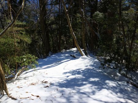 新雪の道を踏んでトレースつけるんだけど、積雪量が少ないため枯れ葉とかがアイゼンにこびりつくのよね