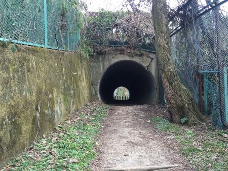 ゴルフ場を横断するためのトンネル！？