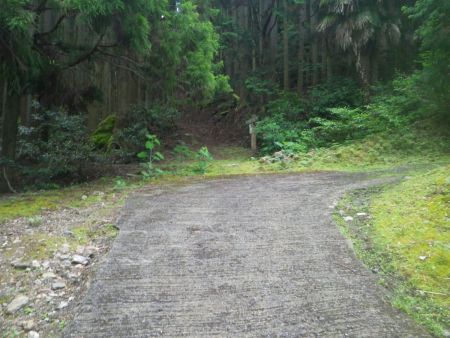 ここで林道が終わって登山道に入る。林道はこの先、右側に続くけど使われてるかわからない建物のところで終わっているようだ