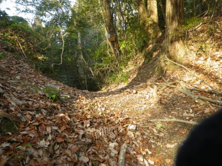 最初の分岐に到着。真っすぐ行くと信達楠畑集落を経て四石山のほうへ行けるけど、今回はまず左の尾根を登って昭和山のほうから先に登る