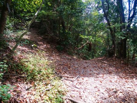 ここで道標はないが分岐。直進して下ると丹生山だけど登り返さないといけない。帝釈山へはそれを巻く形で左へ登っていく