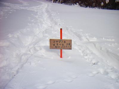 ここから武奈ヶ岳まで1時間20分ぐらいか。ぐらいってどういうことなんだ！？雪道なのでもう少しかかると計算した