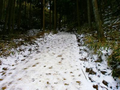 林道はすでに雪が積もっていた。林道なのか滑り易い