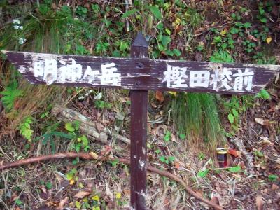 府道6号線から道標があり明神ヶ岳のほうへ林道を登っていく