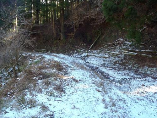 林道のところどころは雪が残っていた