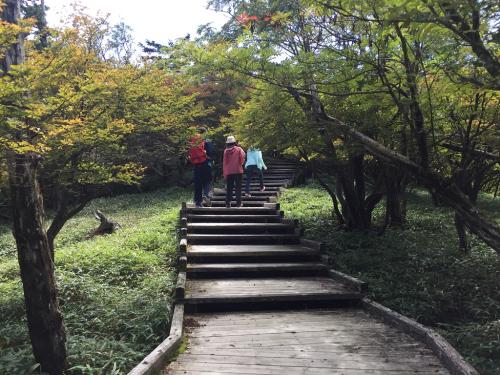正木峠への登りの階段。樹林が多い茂ってきてる感じがする・・・