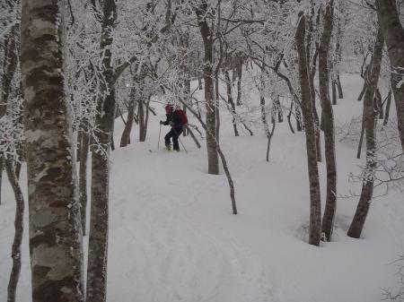 シャクナゲ平からスキーで下るが雪質がいいので楽しい！！