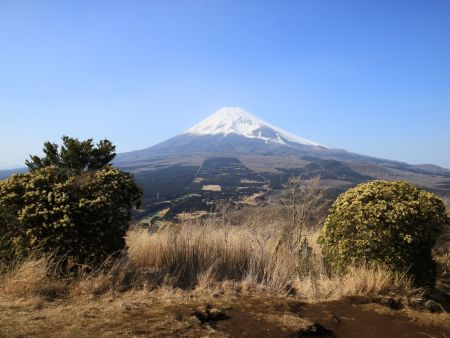 馬の背見晴台から富士山を望む。下にあった展望台のほうがよく見えてた気がする