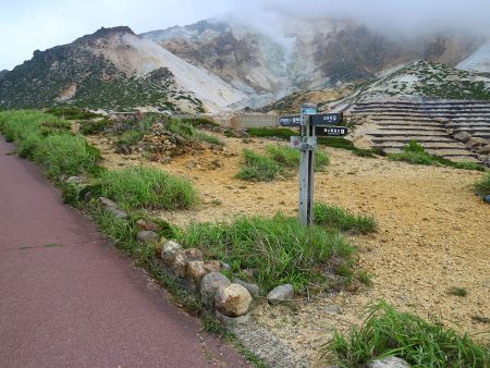 ここで恵山展望台との分岐。展望台とセットで行く人も多いみたいだけど、今回は山頂だけを目指すのでパス