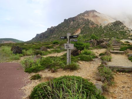 ここにも分岐があるが、まだ登山口ではないのでさらに遊歩道を進む