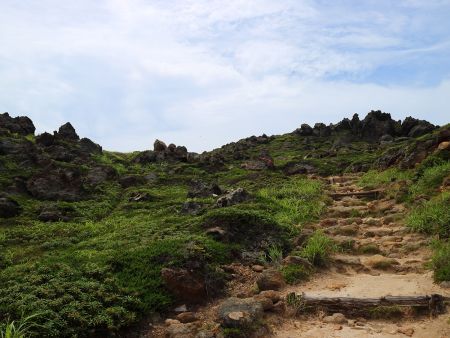 山頂が近づいてくると周囲の雰囲気が変わった。この景色を見てるとまるで2000m級の山を登ってるようだ