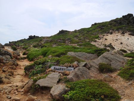 山頂まで100m地点にきたので。山頂の場所はこの先を右に登ったところだが、少しわかりにくい