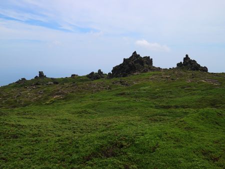 この標高で高山植物が広がっていて迫力ある岩群がどっしりとそびえている。軽い登山だが景色や雰囲気は最高だった