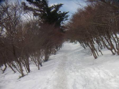 山頂に向かって歩いていく。完全雪道になってる