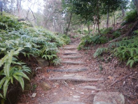 登山道はしばらくの間、階段がひたすら続く