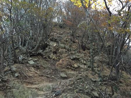 入道ヶ岳への登りにある急登な岩場