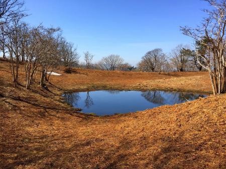 赤ゾレのピークを下ったところにある池。これが赤ゾレの池か！？