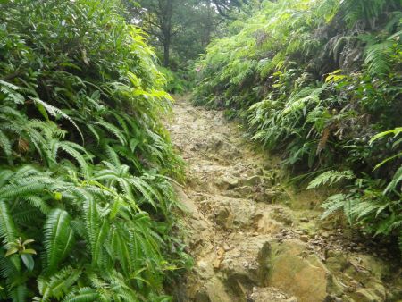 雨山の山頂付近は岩場の道になっているけど、こっちもやはり同じように岩場になってるみたい