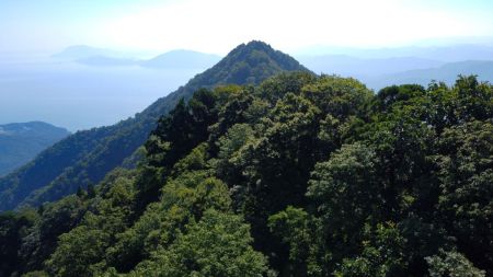 これから行く青葉山東峰のピークが見える。空撮なら見えるんだね