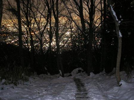 積雪している登山道だが階段などは見えている