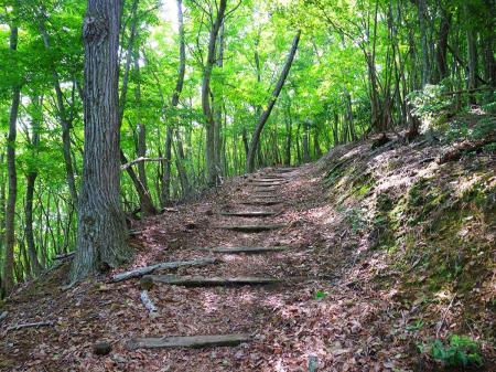 この登山道は結構整備されていて歩きやすい。急登もないしペースも乱れない