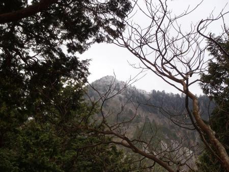 大普賢岳のピーク。樹氷が見えた