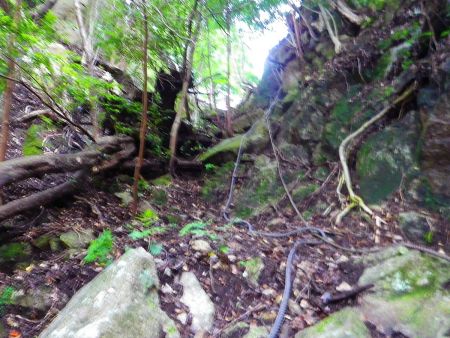 ここで雄岳と雌岳のコルへ登っていく。ここだけはロープがあって岩場の登りになっている