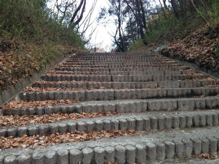 この階段を登る
