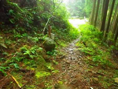 烏帽子山登山口まで下ってきた。雨がかなり酷くなってきた