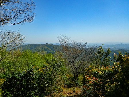 小野寺山の山頂からの展望はこれだけなんだけど、昔は樹林がなくてかなり展望がよかったんだと思う