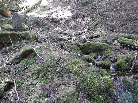 狸穴と記された石碑にわずかな水が流れていた。小野寺山の山頂で調べておいた写真とも一致していたので、ここが狸穴の源泉で間違いはない。この水を飲んでる人がいたんだけど自分はパスした