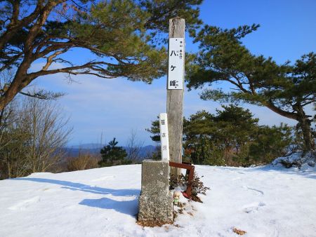 せっかくなので雪村あおいちゃんと山頂と三角点を撮影しておいた。ちっちゃいね