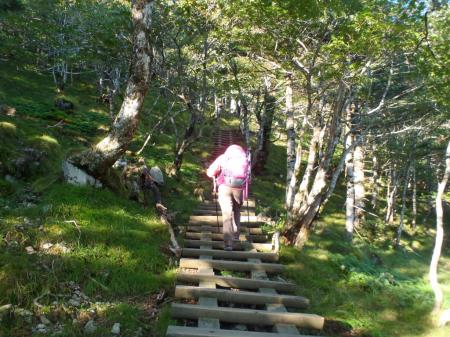 弥山への登り、最後付近から階段になる