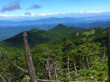 頂仙岳の向こうに金剛山と大和葛城山、その向こう側の大阪のビル群までしっかり見えた