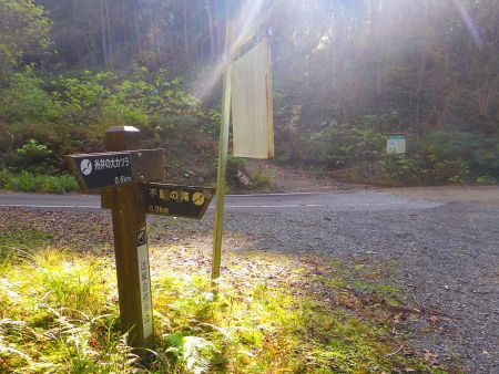林道に出た。これを右に曲がって駐車した西床尾山登山口の手前まで戻る