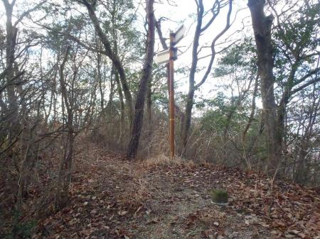 このピークが菖蒲が滝山(213.5m)。もはやプレートがなかった