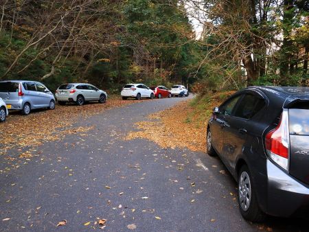 甲津畑町の岩谷林道起点の登山口の向こう側に車を駐車してスタート