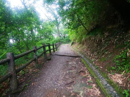 枚岡公園というか、生駒山上まではきっちり整備された登山道が続くので歩きやすく迷いにくい