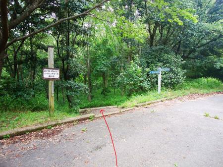 辻子谷ハイキングコースへ。ここからしばらく舗装道は横断するけどあくまで登山道を下っていく