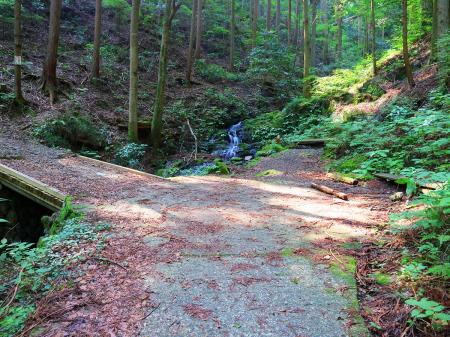 ここで長い林道も終点だと思われる。左の橋を渡ると登山道に入るが、前のベンチで少し休憩した