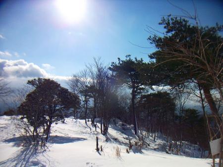 踏み跡のない場所も撮影してみた。積雪時は踏み跡のないところが好きなんよね