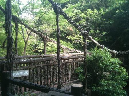 猿のかずら橋というらしい。木でできた橋という感じに見えるけど地面はコンクリートなのでしっかりしてそう