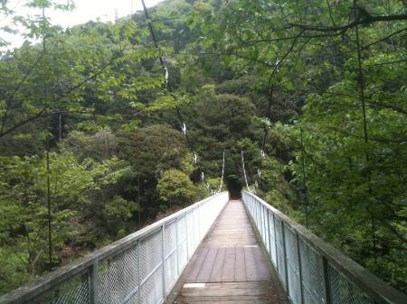 菊水山からかなり下らされて天王吊橋を渡る。ここから鍋蓋山までまた登りだ