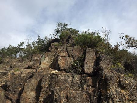 この岩を登っていく。正規ルートは沢沿いにいくようだった