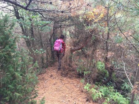 岩場が終わり樹林帯に入っていく。踏み跡があるが狭い