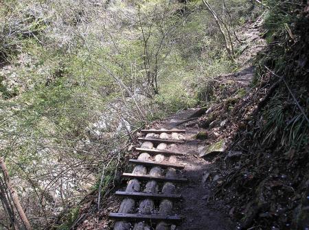 ここ細い登山道になっていて滑り易いので滑落注意。落ちた人がいたとかいないとか！？