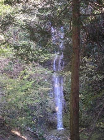 これが腰折滝か。少し落差もあって、二段のようになっている。金剛山では美しい滝かも